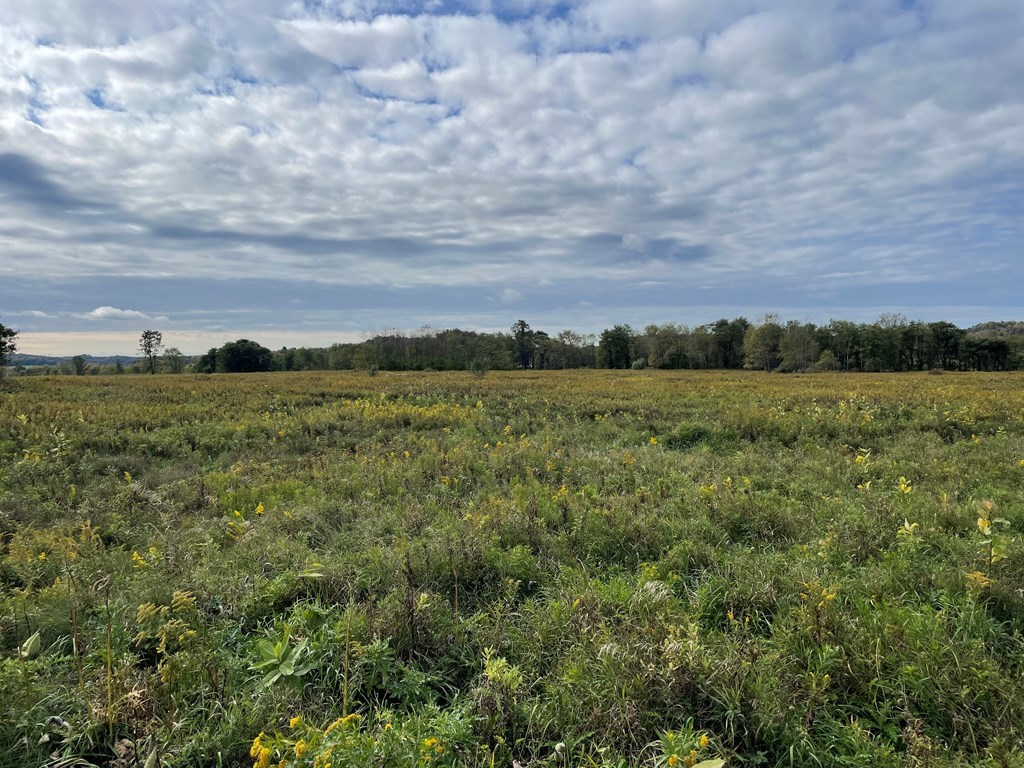 0 Eakin Road Emlenton, PA 16373 - Photo 12 of 21 a view of a big yard with lots of green space