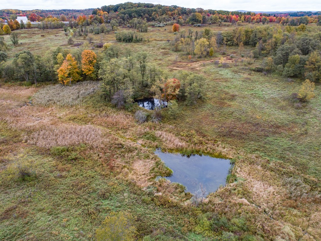 0 Eakin Road Emlenton, PA 16373 - Photo 7 of 21 a view of a dry yard