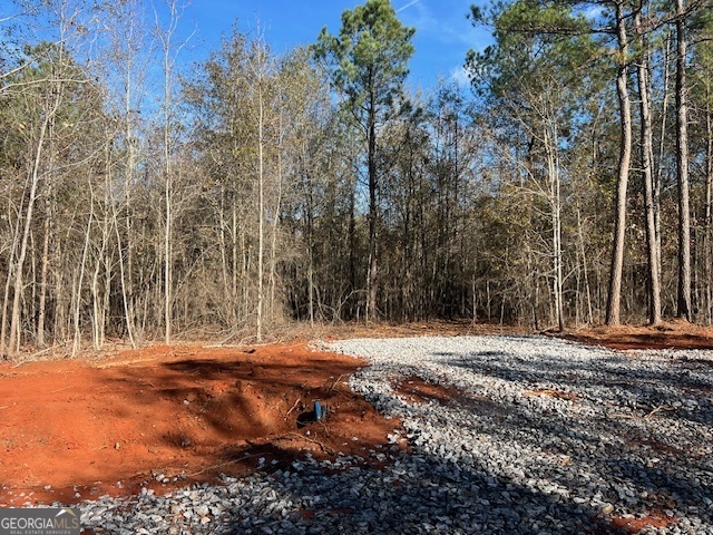 150 Berry Road Barnesville, GA 30204 - Photo 2 of 6