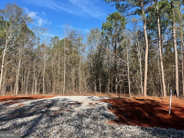 150 Berry Road Barnesville, GA 30204 - Photo 3 of 6