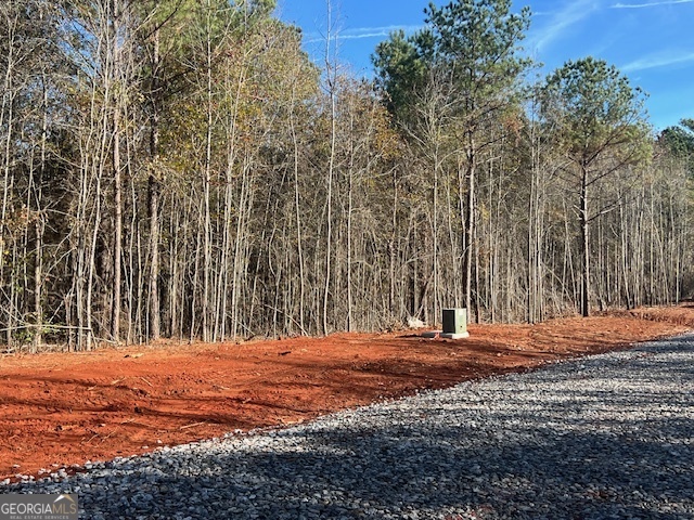 150 Berry Road Barnesville, GA 30204 - Photo 4 of 6