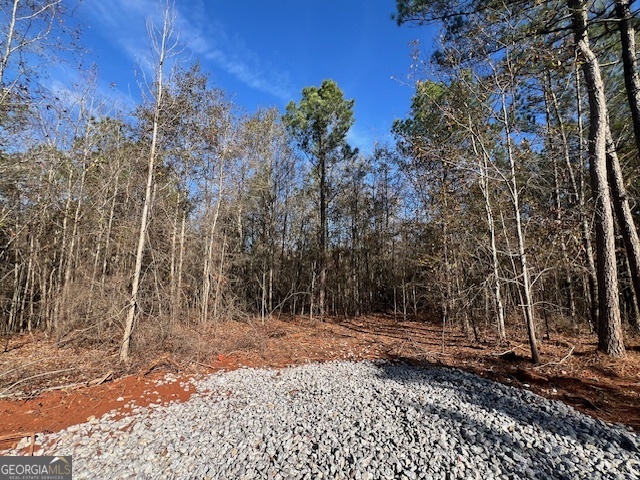 150 Berry Road Barnesville, GA 30204 - Photo 5 of 6