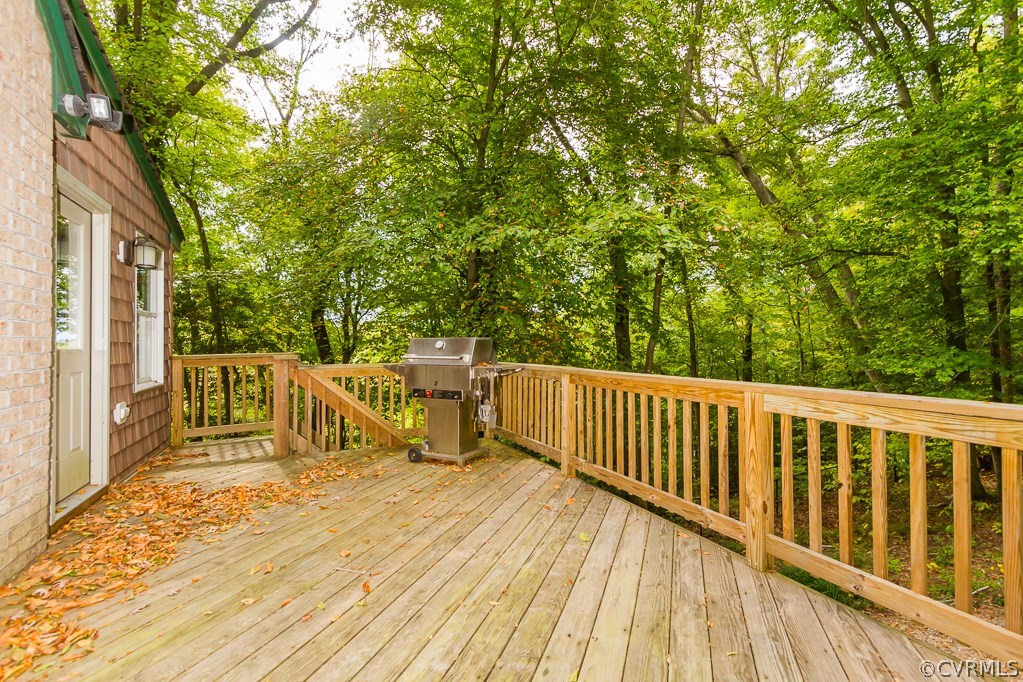 5255 Dabneys Mill Road Manquin, VA 23106 - Photo 17 of 24 Gallery Image 17