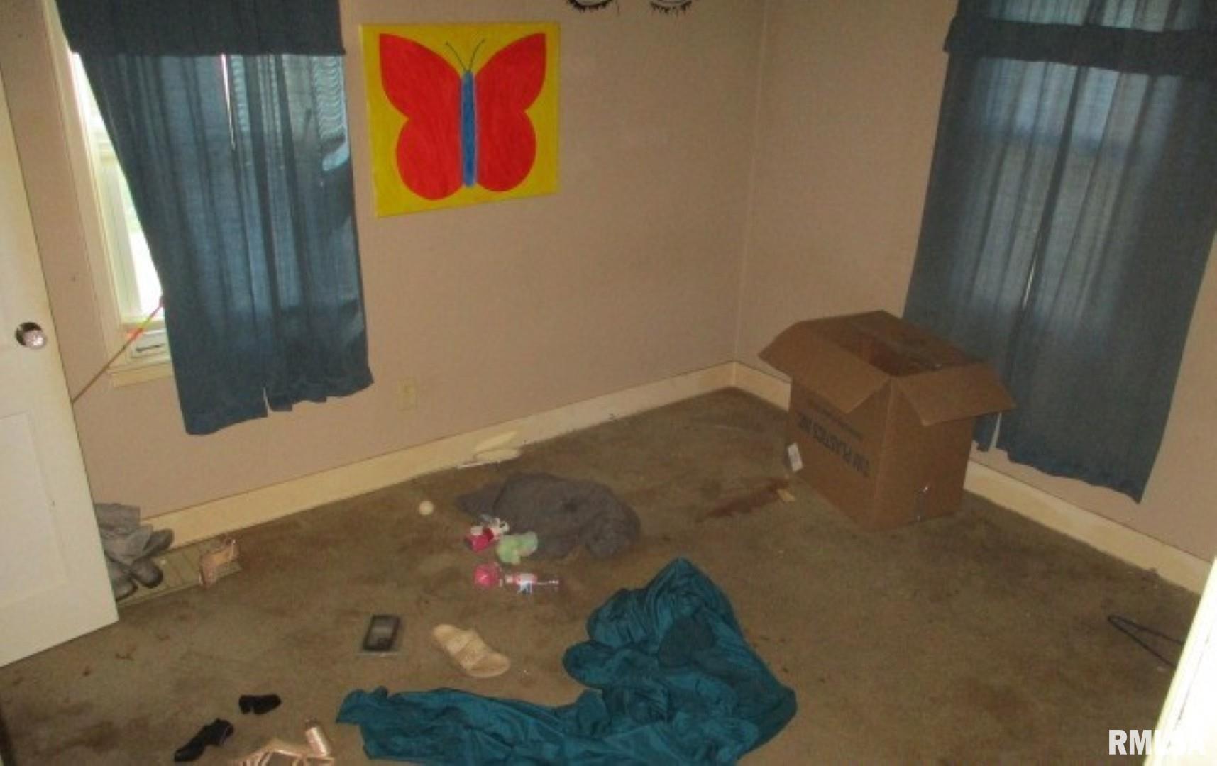 246 Haffner Boulevard Canton, IL 61520 - Photo 7 of 12