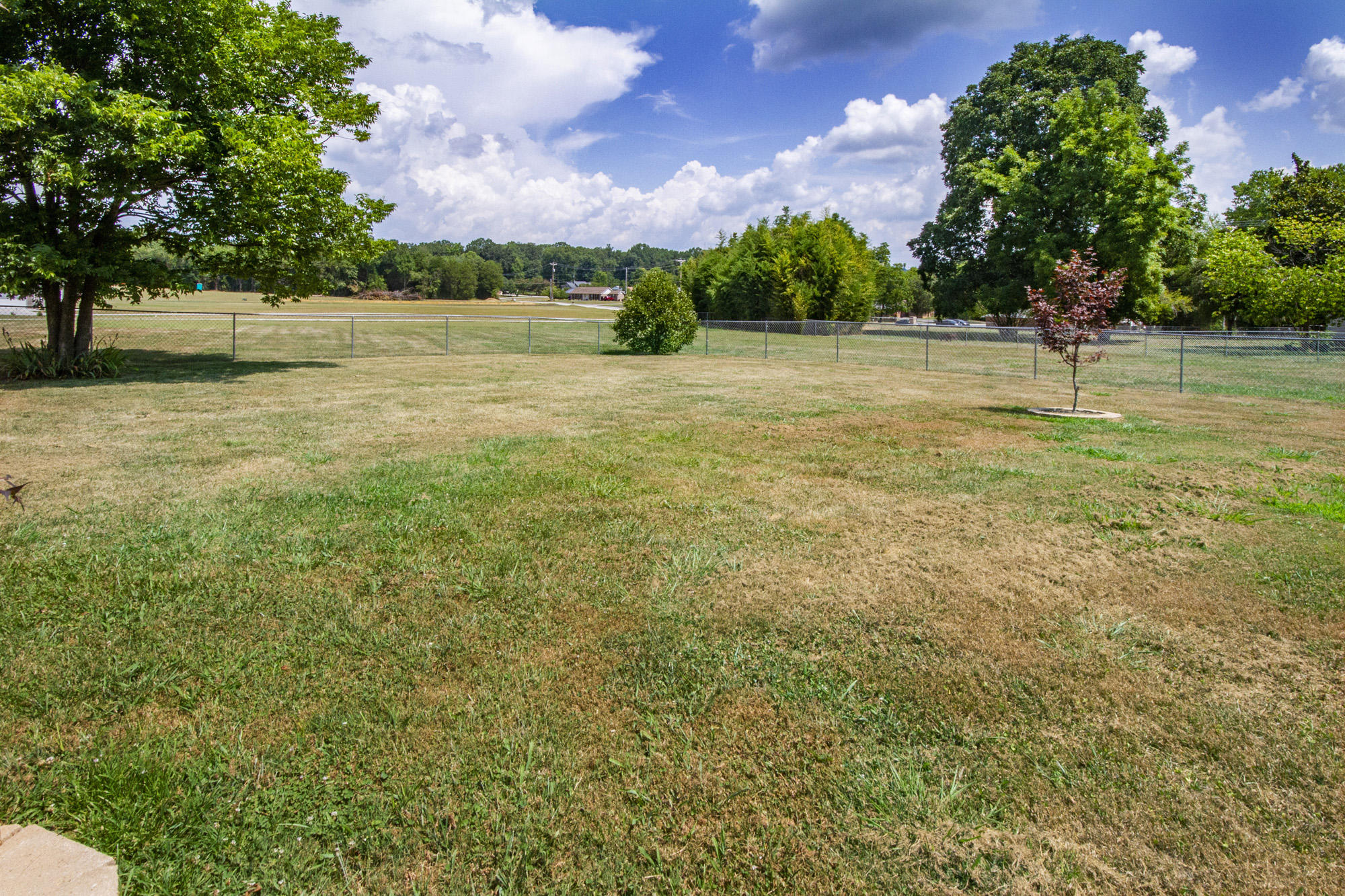 204 Ridge Trail Road Kingston, TN 37763 - Photo 35 of 40 IMG_0057