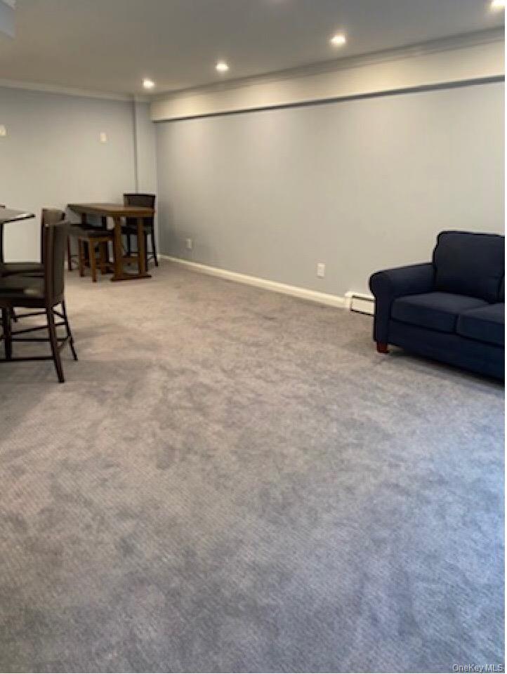 320 East Shore Road, Unit C Great Neck, NY 11023 - Photo 27 of 29 a living room with furniture and a flat screen tv