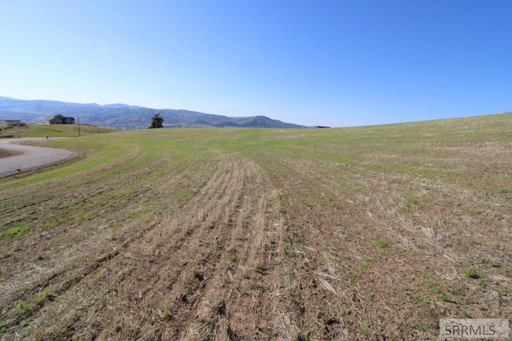 0 Eagle Pointe Drive Inkom, ID 83245 - Photo 12 of 19