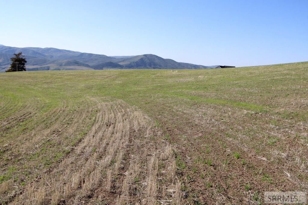 0 Eagle Pointe Drive Inkom, ID 83245 - Photo 17 of 19