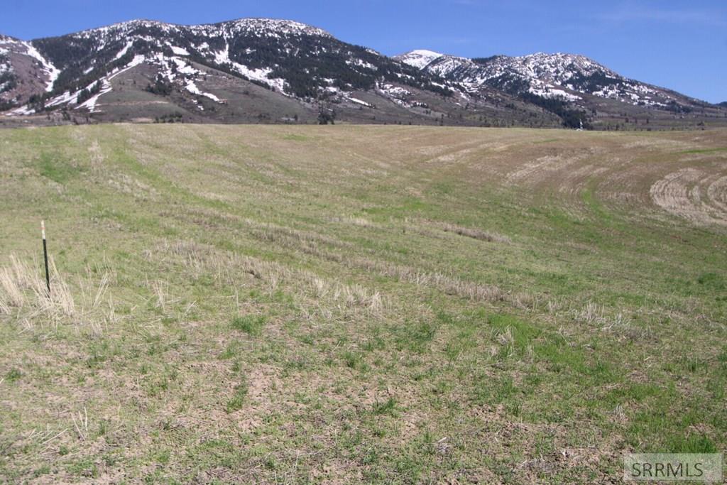 0 Eagle Pointe Drive Inkom, ID 83245 - Photo 6 of 19