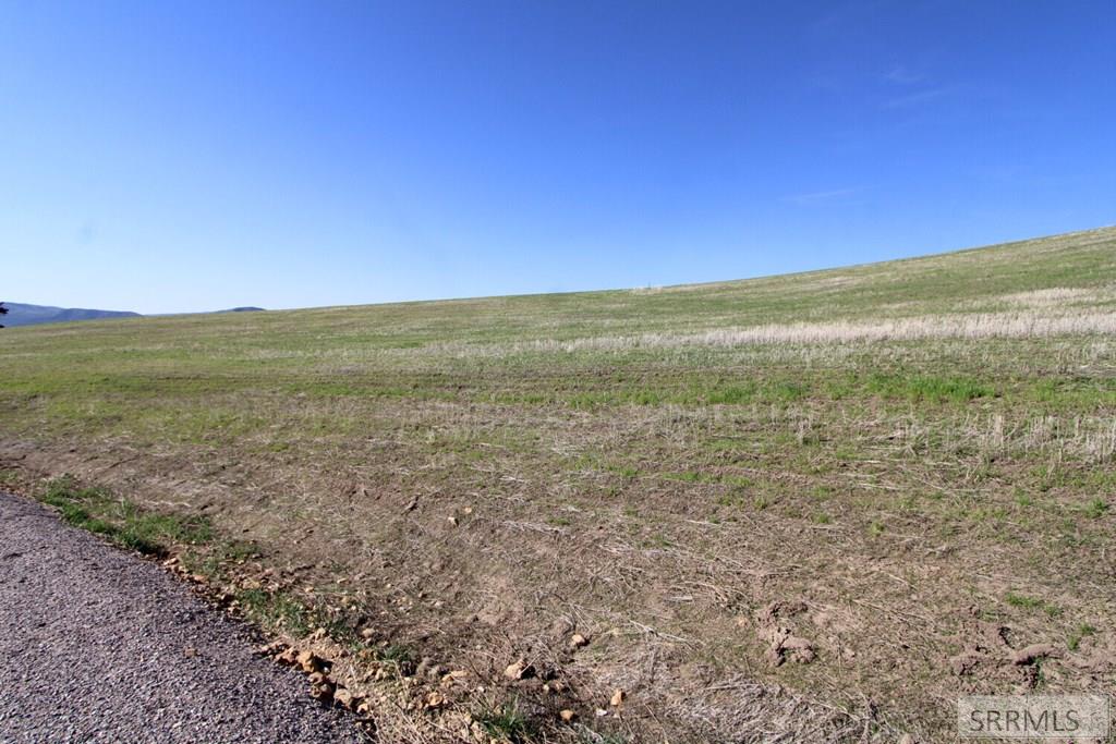 0 Eagle Pointe Drive Inkom, ID 83245 - Photo 9 of 19