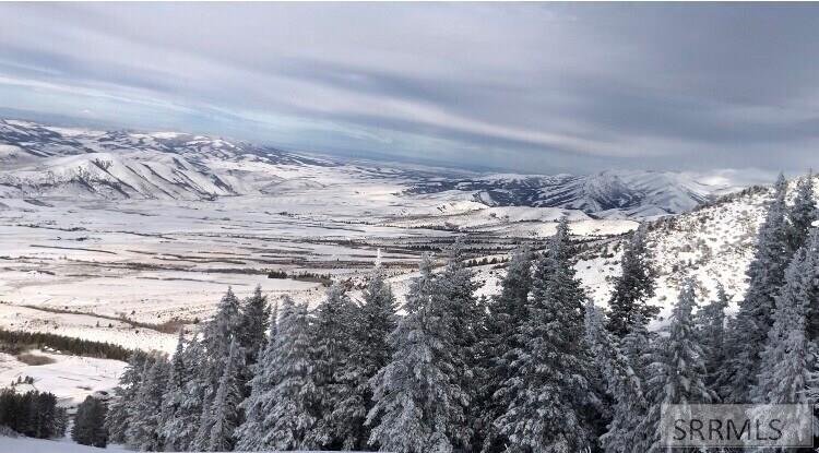 0 Eagle Pointe Drive Inkom, ID 83245 - Photo 10 of 19