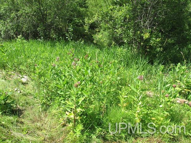 19110 West Diller Road Germfask, MI 49836 - Photo 21 of 28