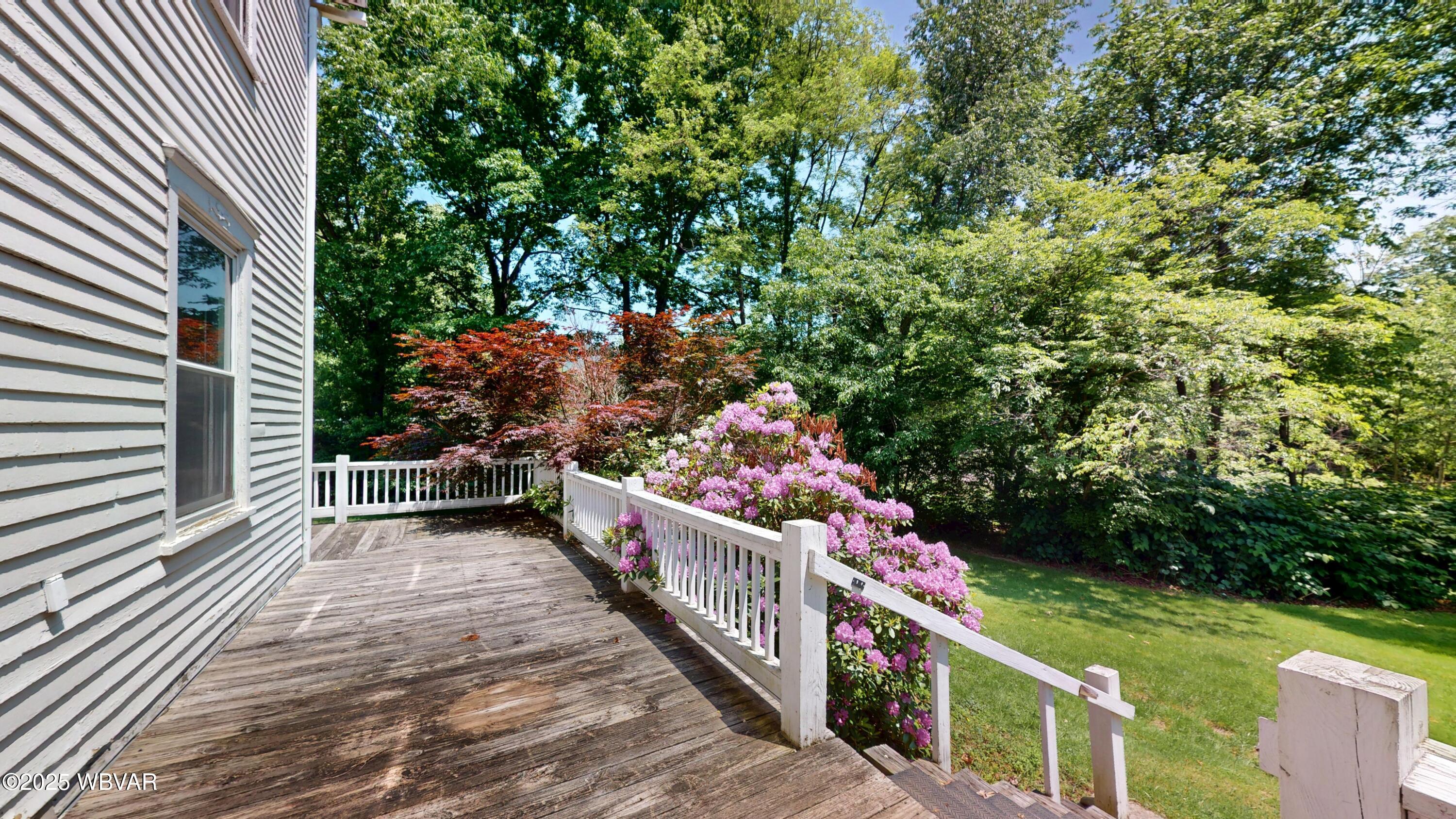48-50 Trout Run Mountain Road Trout Run, PA 17771 - Photo 50 of 102 Deck facing creek