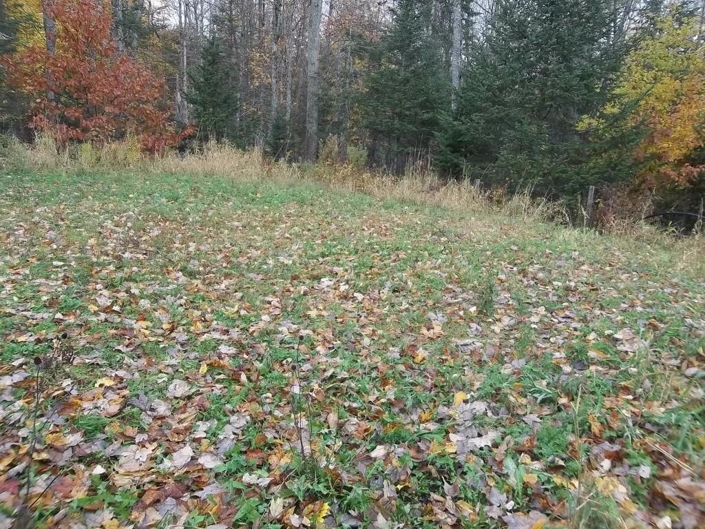 155 Twin Hill Road Ellsworth, ME 04605 - Photo 23 of 23 Photo
