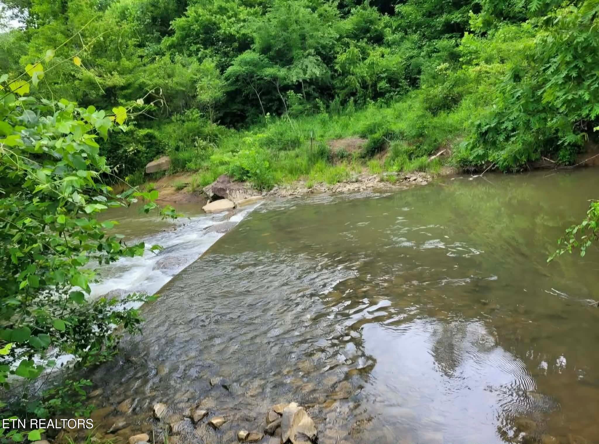 216 Lower Capuchin Road Newcomb, TN 37819 - Photo 2 of 16 826574e41b84f555dab4841287f81ddc