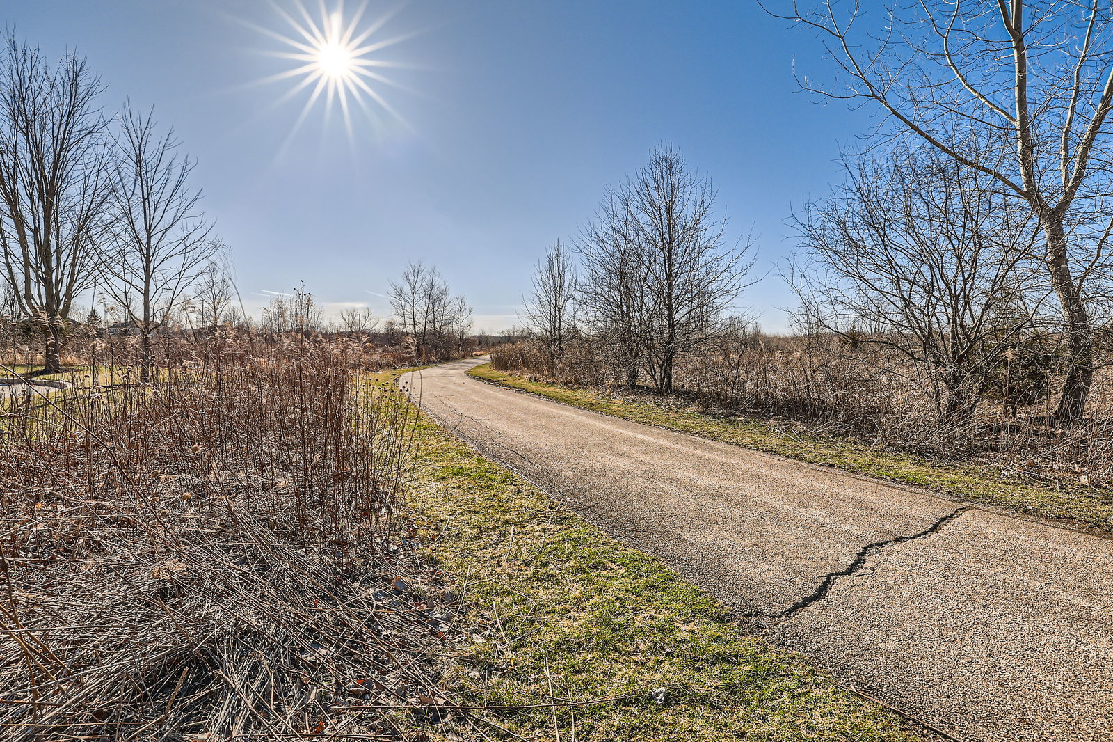 2466 Anna Way Elgin, IL 60124 - Photo 27 of 28