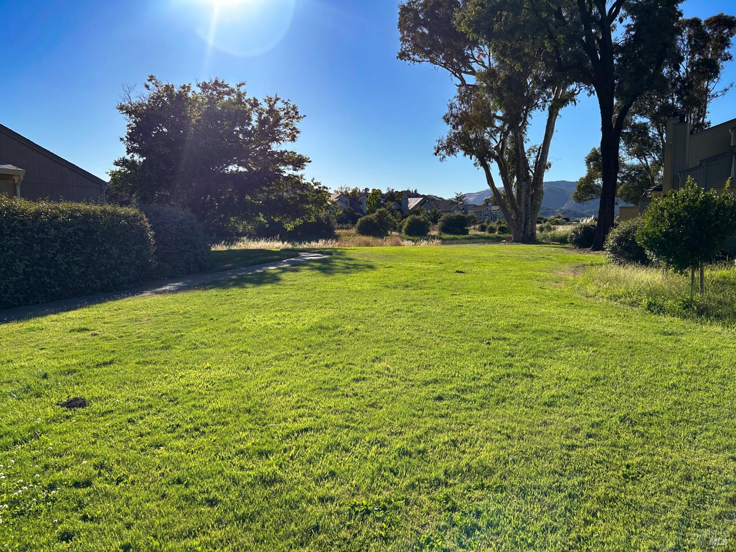 36 Schmidt Lane San Rafael, CA 94903 - Photo 30 of 34 The large grassy area adjacent to the pool is ideal for picnics or when wandering down to the Las Gallinas Creek