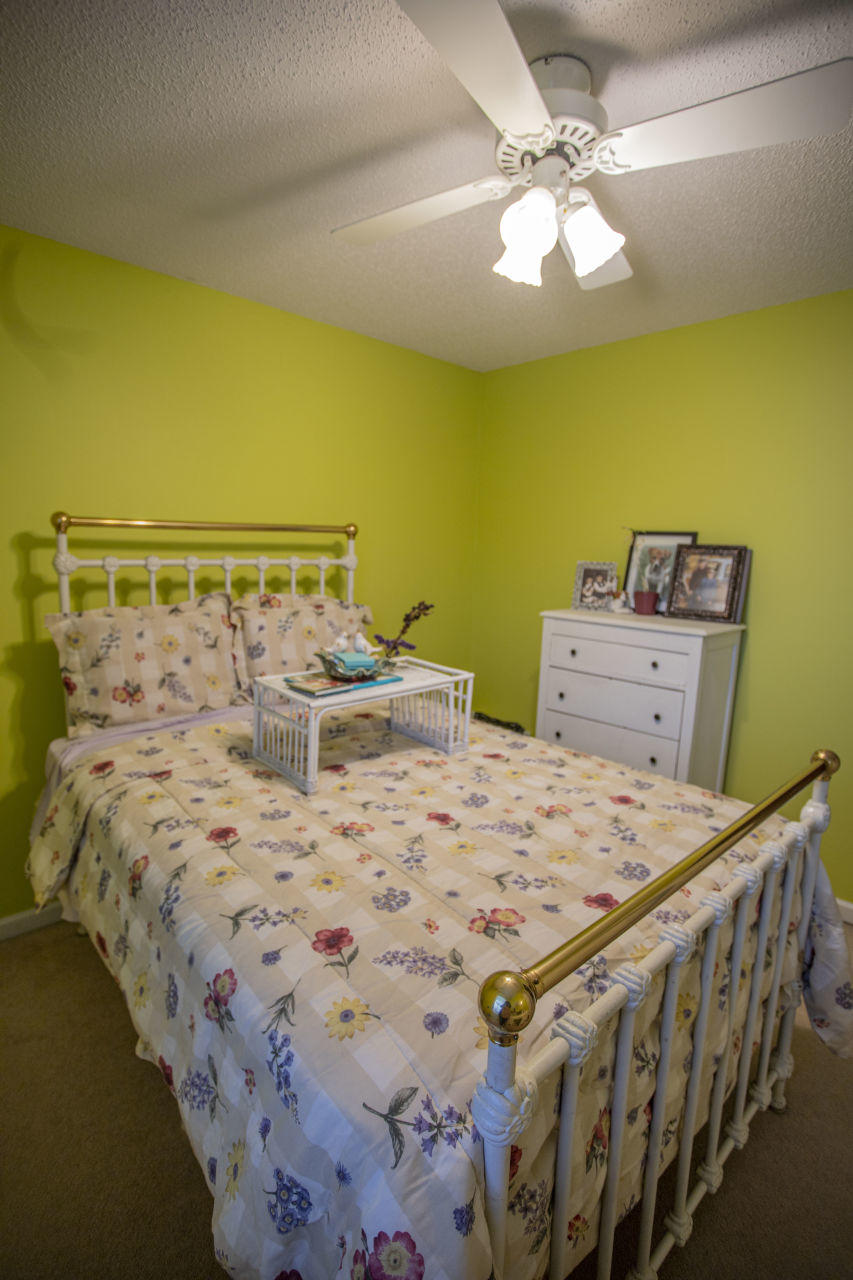 121 Ridgeview Drive Gray, TN 37615 - Photo 26 of 31 IMG_5678
