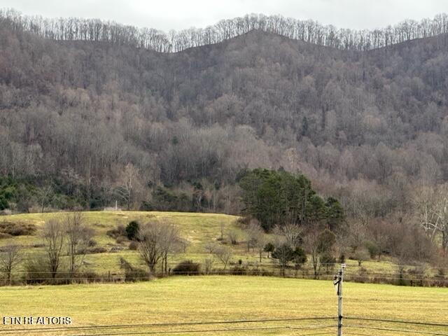 186 Blair Road Dryden, VA 24243 - Photo 26 of 30 IMG_7237
