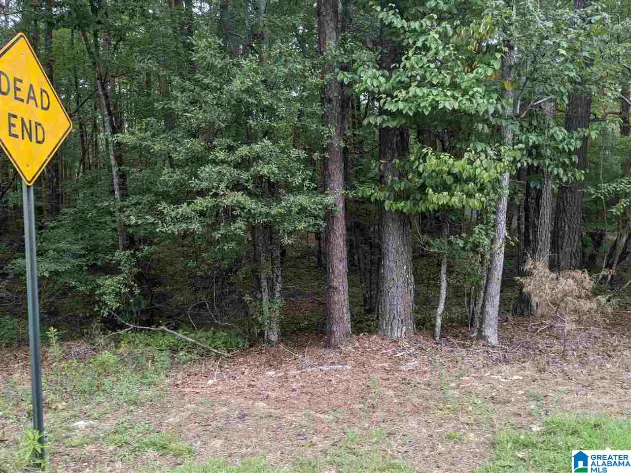 0 Smith Avenue, Unit 3 2 Anniston, AL 36207 - Photo 25 of 43