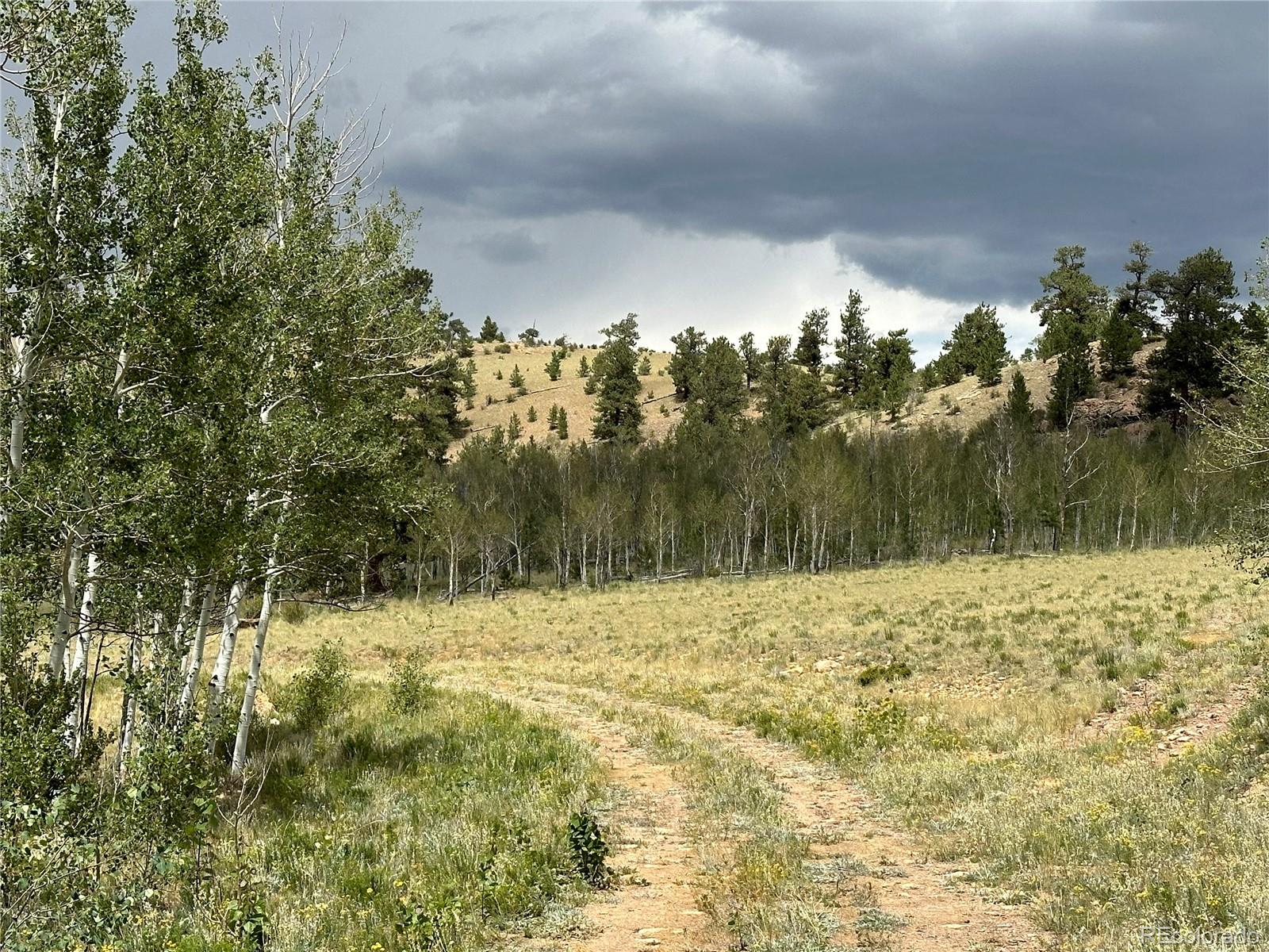 Uintah Trail Hartsel, CO 80449 - Photo 2 of 5