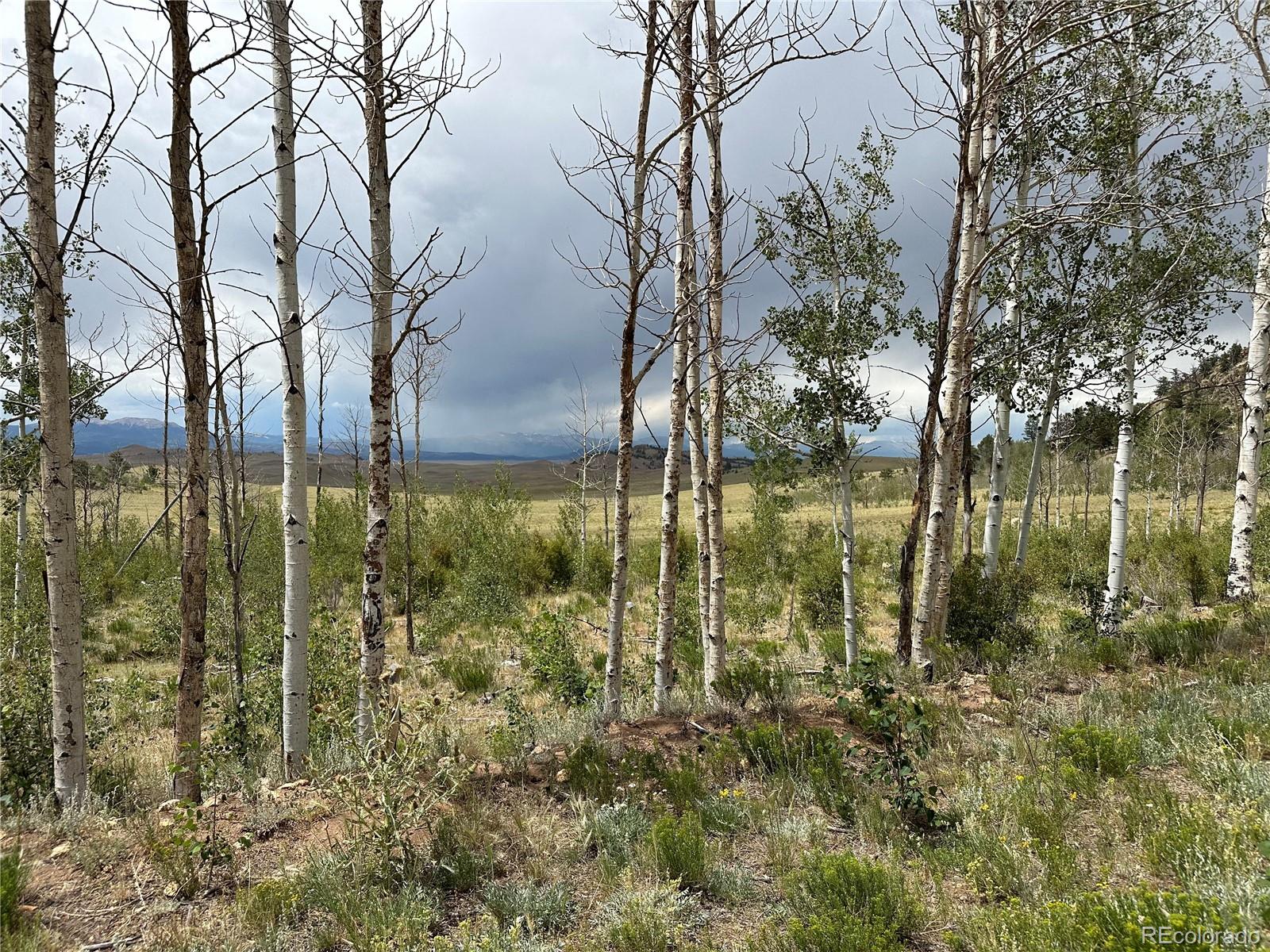 Uintah Trail Hartsel, CO 80449 - Photo 3 of 5