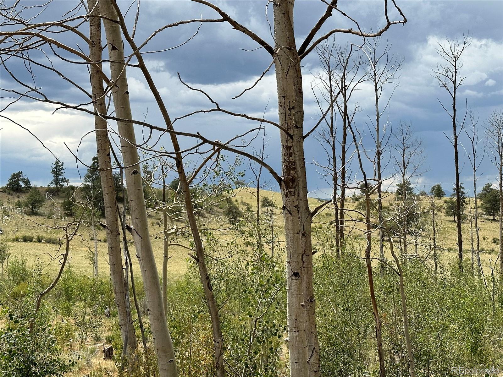 Uintah Trail Hartsel, CO 80449 - Photo 4 of 5