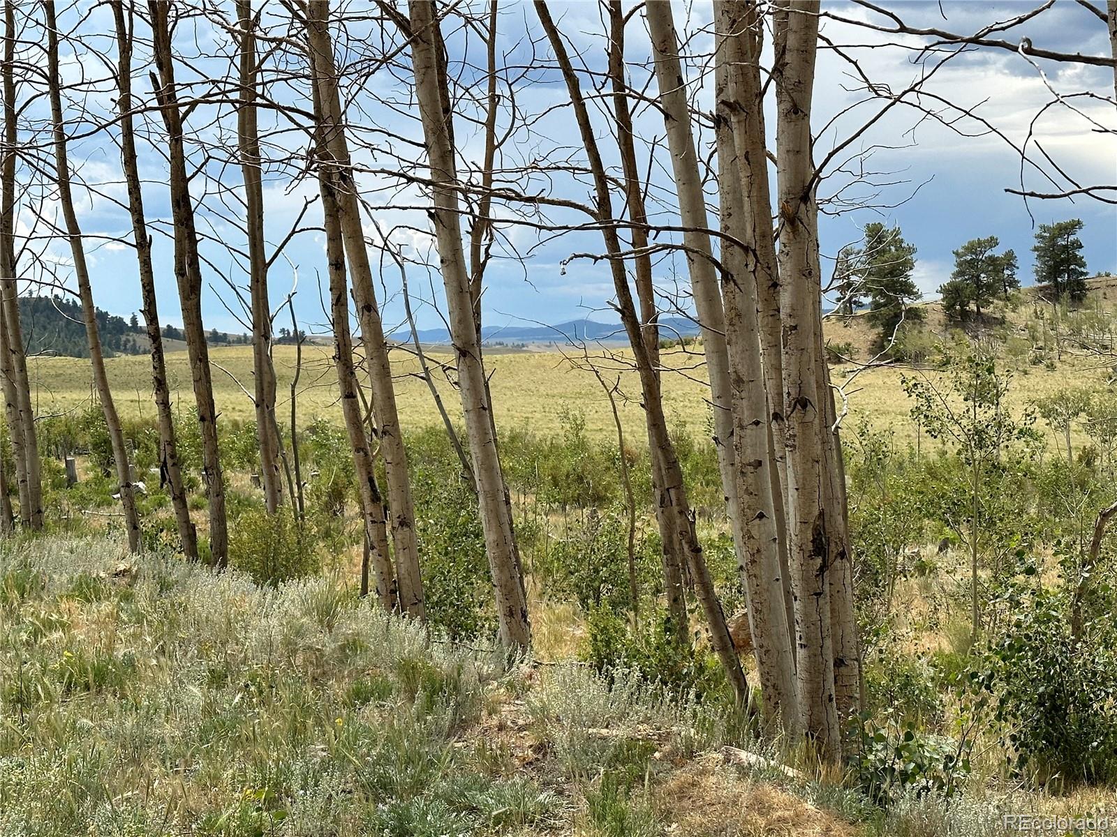 Uintah Trail Hartsel, CO 80449 - Photo 5 of 5