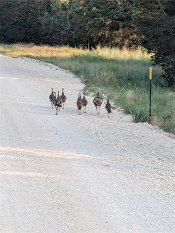 $175,000 | 251 Private Road 2120, Meridian, TX 76665