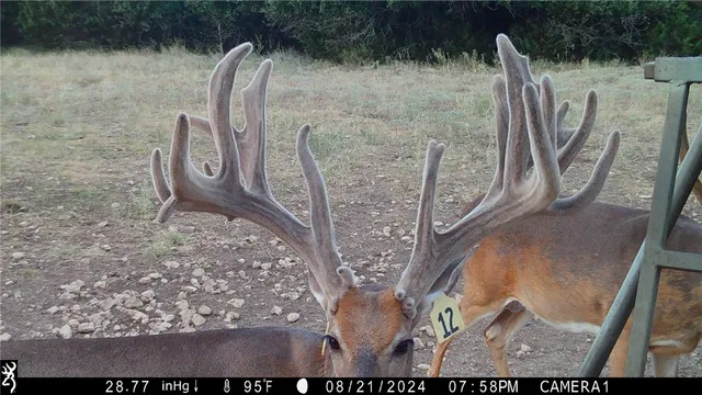 $175,000 | 251 Private Road 2120, Meridian, TX 76665