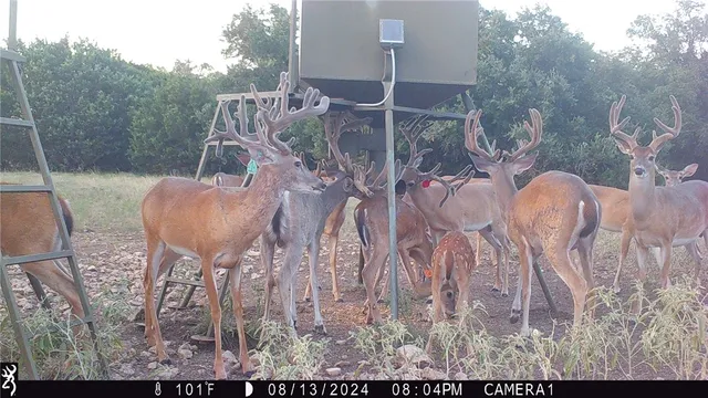 $175,000 | 251 Private Road 2120, Meridian, TX 76665