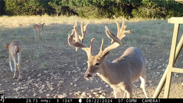 $175,000 | 251 Private Road 2120, Meridian, TX 76665