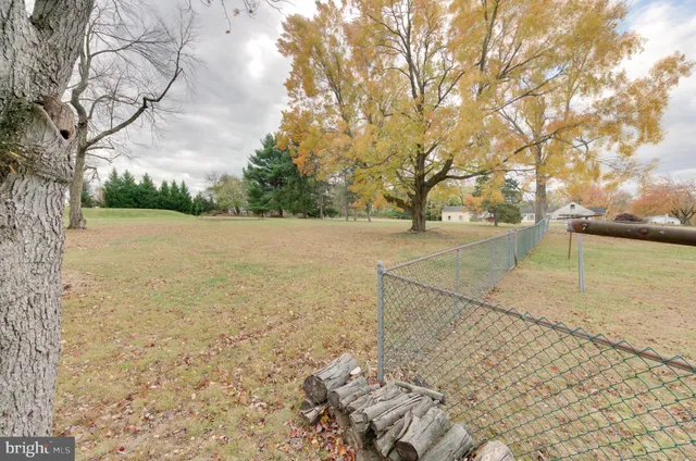 a view of a yard with an tree