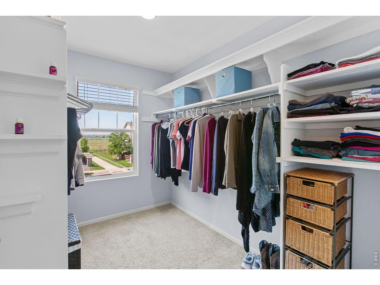 6792 Covenant Court Timnath, CO 80547 - Photo 22 of 40 Good size walk in closets