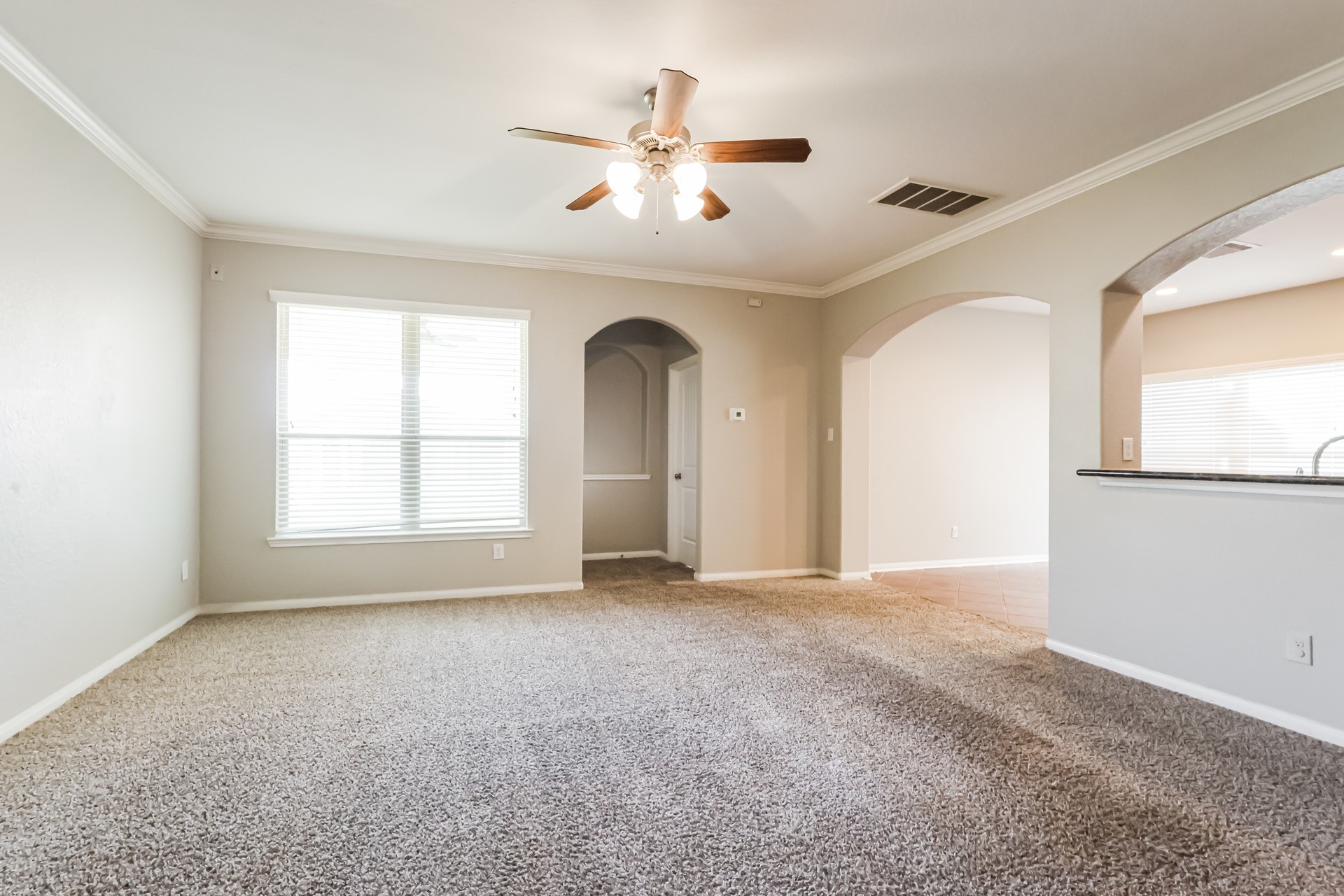 139 Piney Pathway Magnolia, TX 77354 - Photo 3 of 18