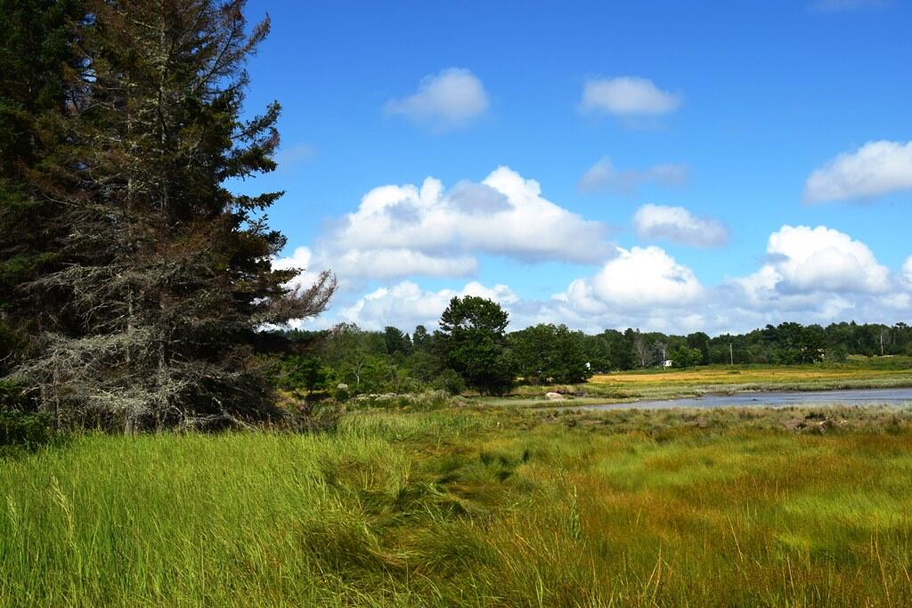0 Hog Bay Road Franklin, ME 04634 - Photo 11 of 12 L 11