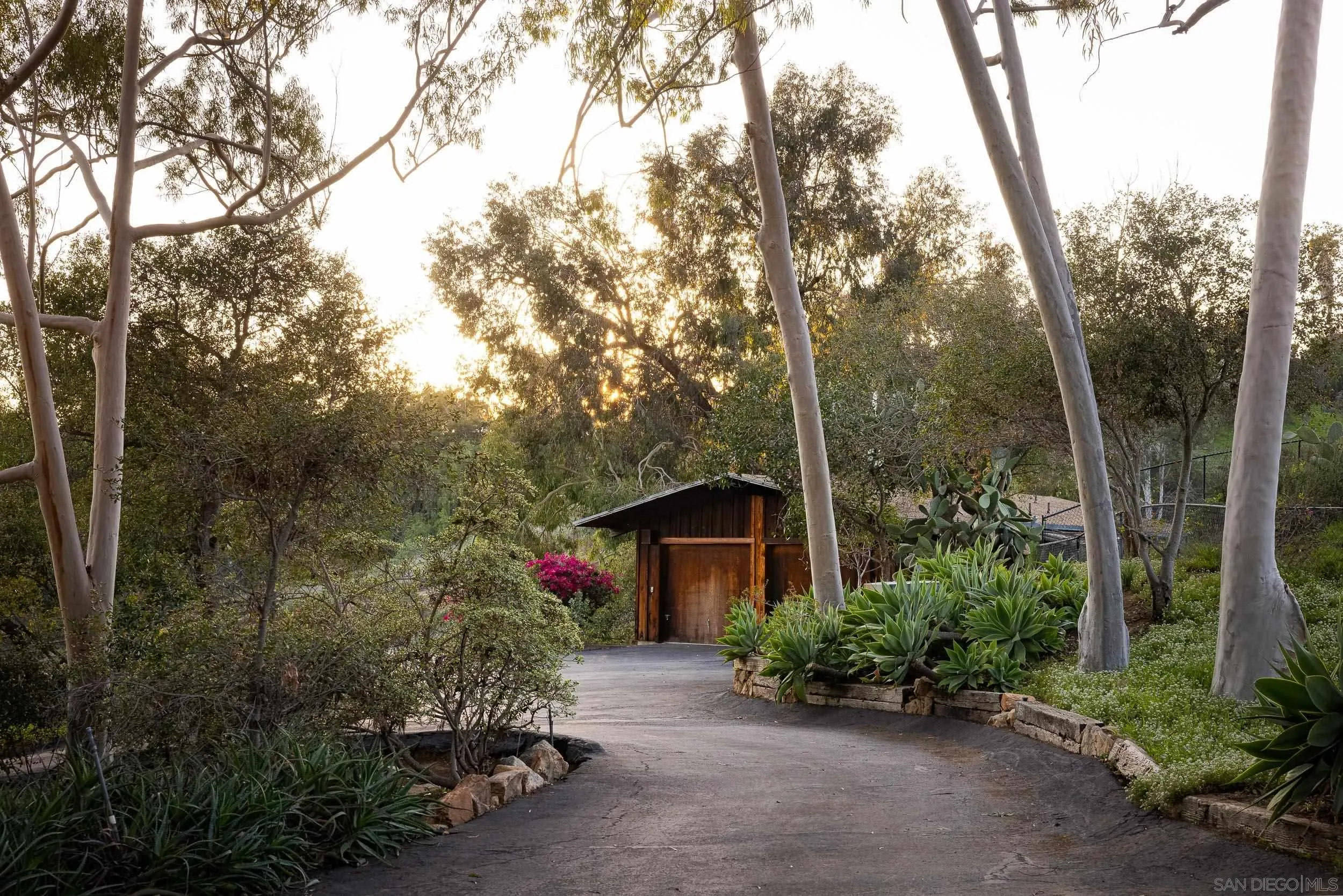 2411 Canyon Road Escondido, CA 92025 - Photo 3 of 41 a couple of flower plants sitting in front of a house
