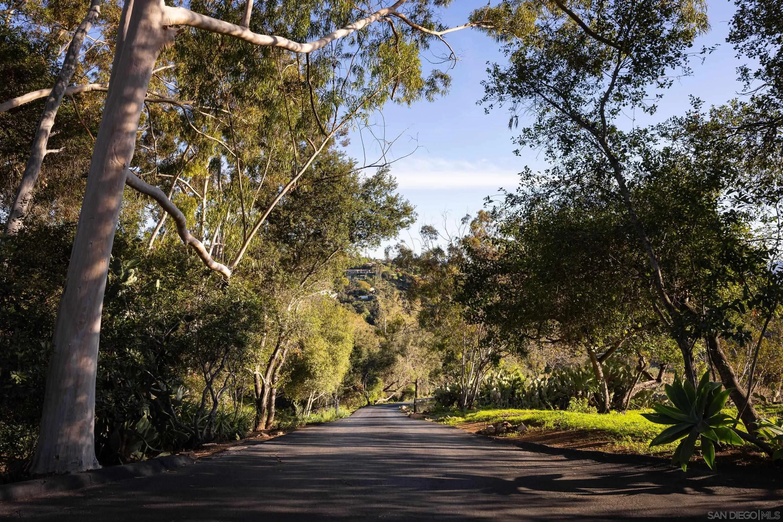 2411 Canyon Road Escondido, CA 92025 - Photo 36 of 41