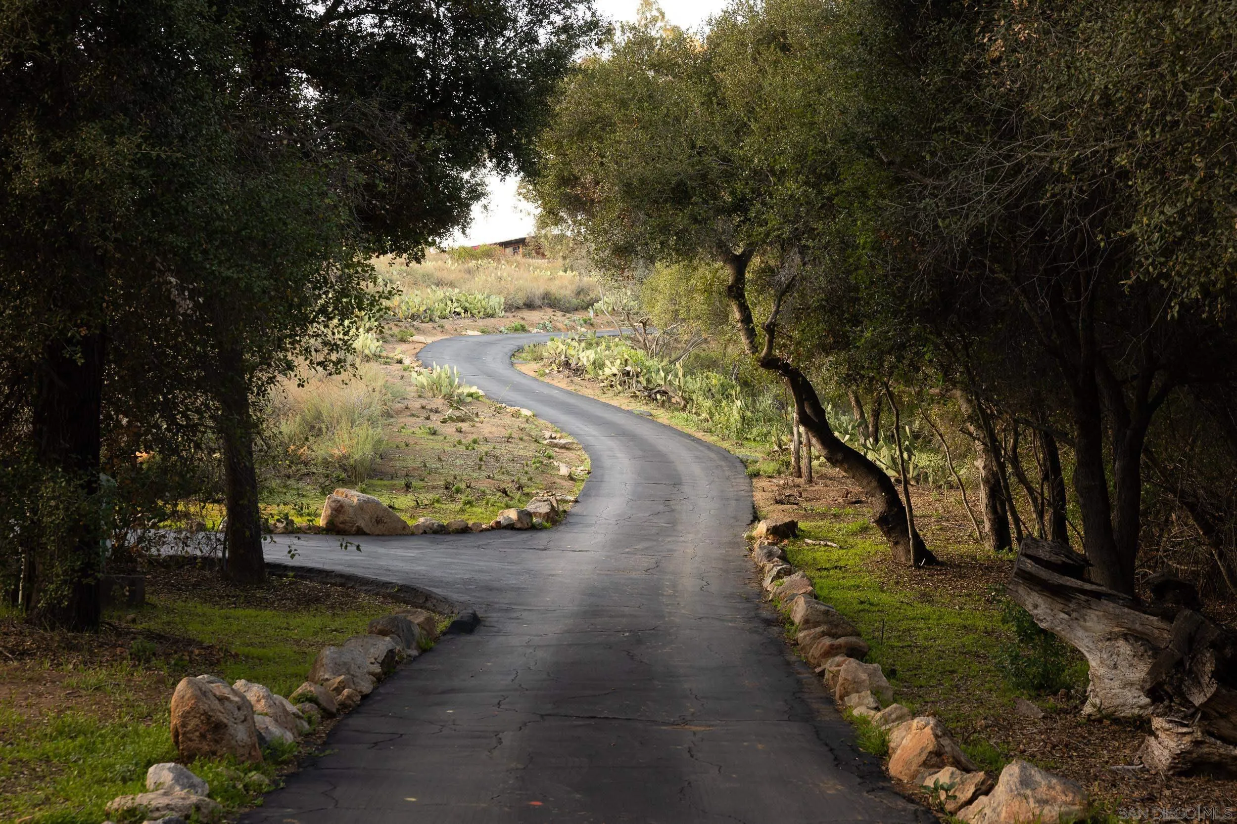 2411 Canyon Road Escondido, CA 92025 - Photo 38 of 41 a view of a street with large trees
