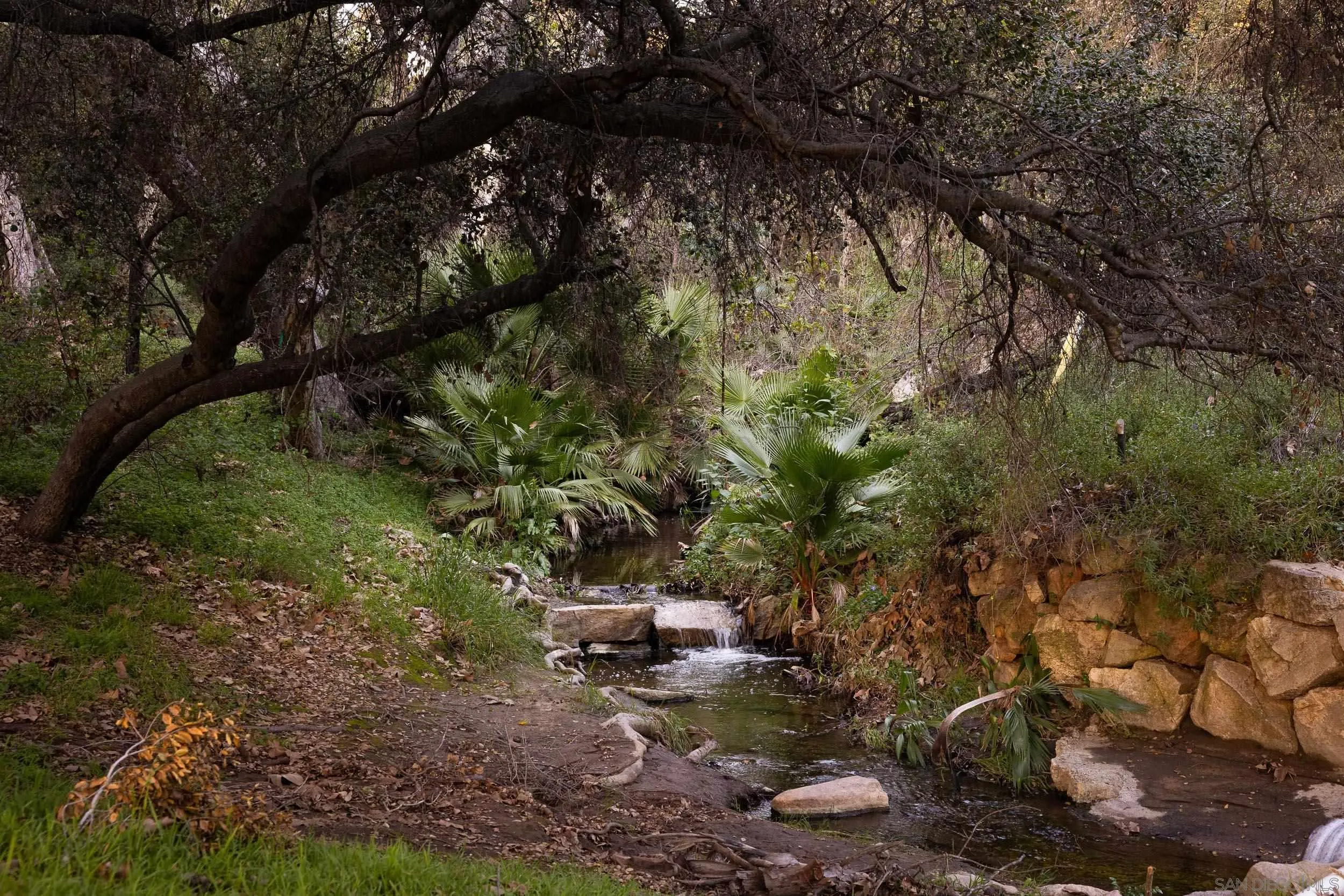 2411 Canyon Road Escondido, CA 92025 - Photo 39 of 41 a backyard of a house with a large tree