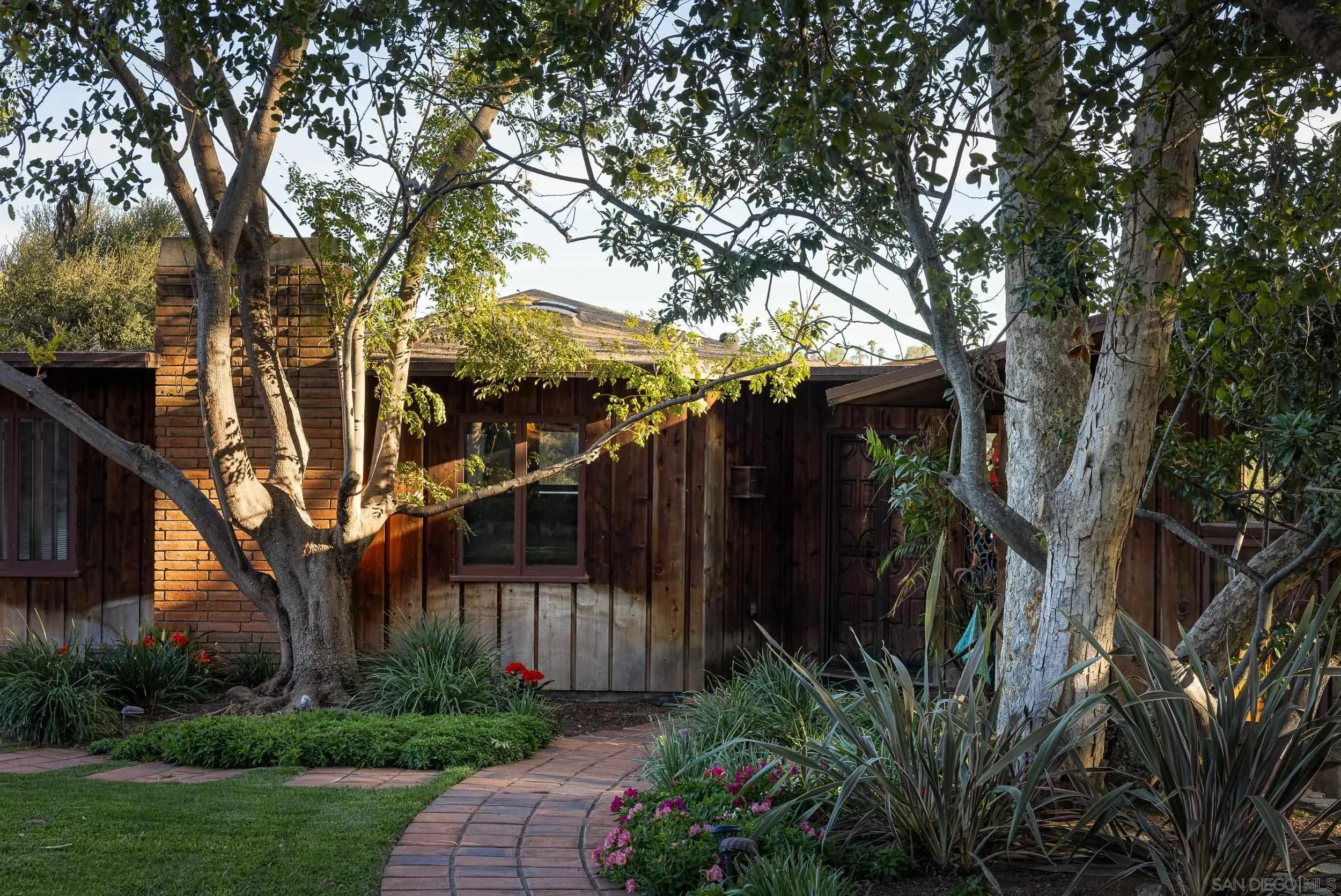 2411 Canyon Road Escondido, CA 92025 - Photo 8 of 41 a view of backyard with plants and large trees