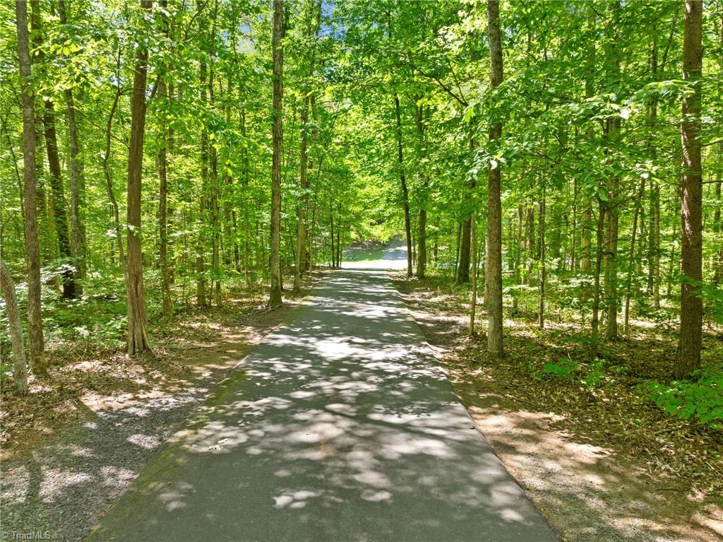 355 Rabbit Farm Trail Advance, NC 27006 - Photo 48 of 50