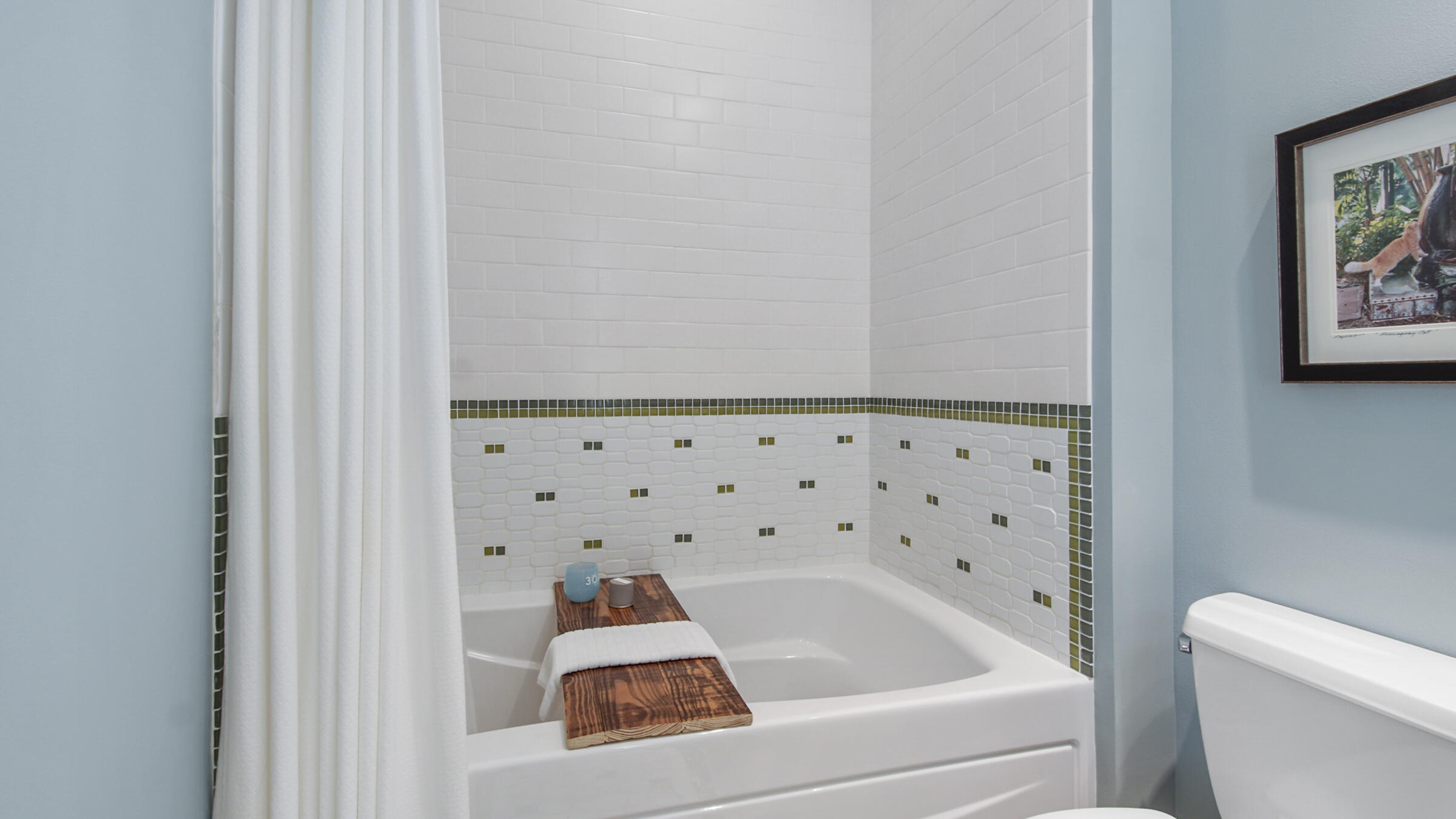 247 Artesian Way Watersound, FL 32461 - Photo 29 of 36 a bathroom with a bathtub and a toilet
