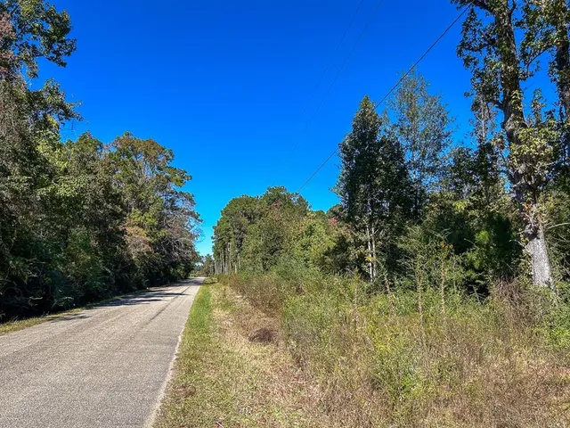 a view of a yard with plants