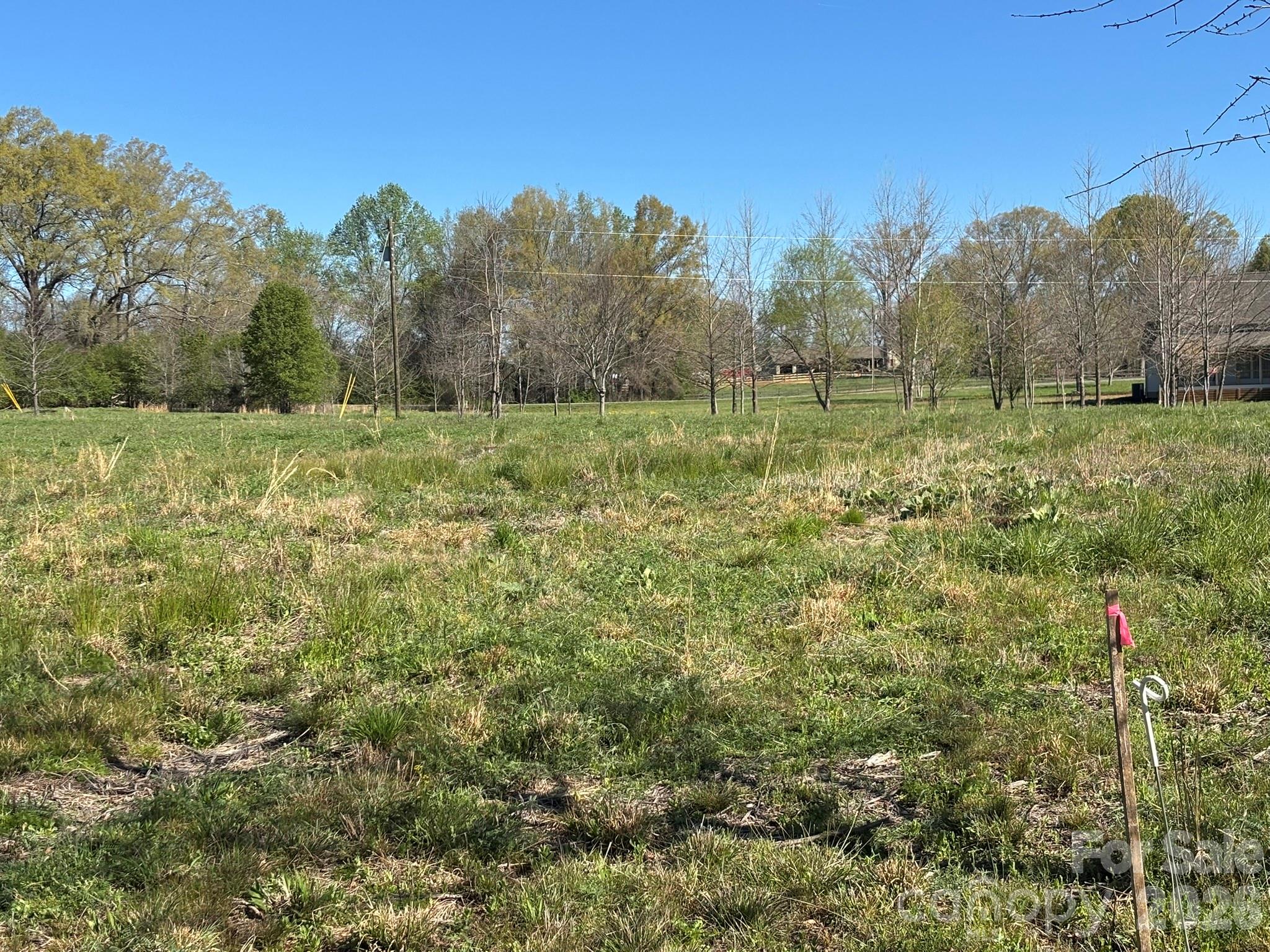 Lot #4 Prince Road Columbus, NC 28722 - Photo 13 of 21 Gallery Image 13