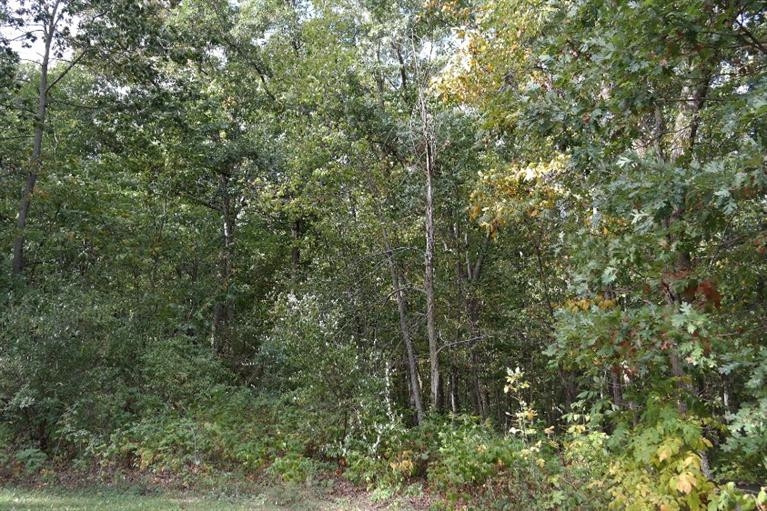 10052 Wildlife Ridge Manchester, MI 48158 - Photo 3 of 5 Photo 3