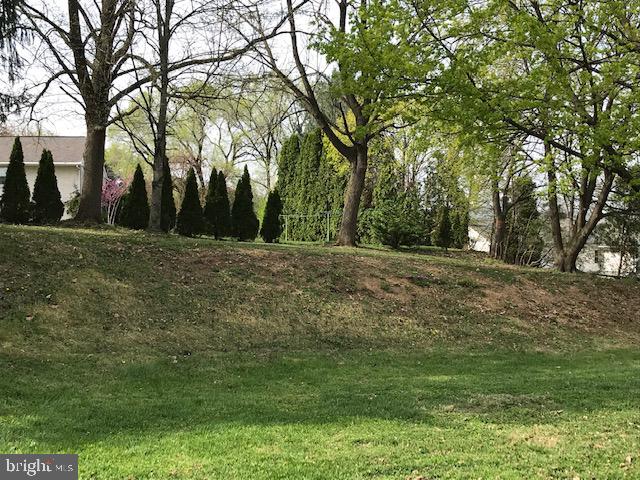 40 Clay Slate Road Oley, PA 19547 - Photo 4 of 20 Back yard