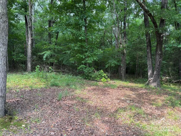 a view of outdoor space and green space