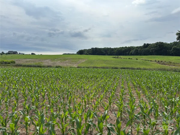 a view of a lake with a yard