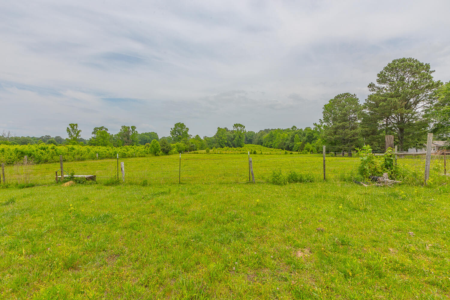 85 Charlie Walls Road Chatsworth, GA 30705 - Photo 47 of 50 85 Charlie Walls HD_-48